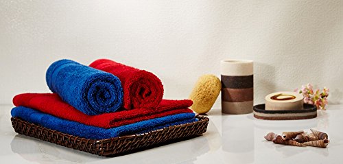 Amazon Brand - Solimo 100% Cotton 4 Piece Hand Towel Set, 500 GSM (Iris Blue and Spanish Red)