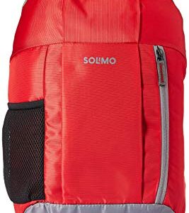 Amazon Brand - Solimo Hiking Day Backpack, 15L, Red