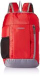 Amazon Brand - Solimo Hiking Day Backpack, 15L, Red
