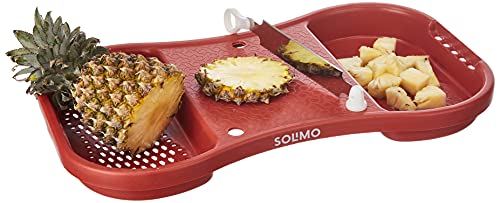 Amazon Brand - Solimo Plastic Cut & Wash Vegetable Cutter, 43 cm, Silver