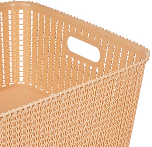 Amazon Brand - Solimo Storage Basket, Set of 2, Large, Biege, Plastic