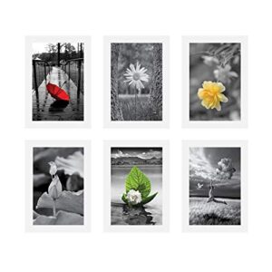 Amazon-Brand-Solimo-White-Collage-set-of-6-Photo-Frames-5-X-7-Inch-6-0