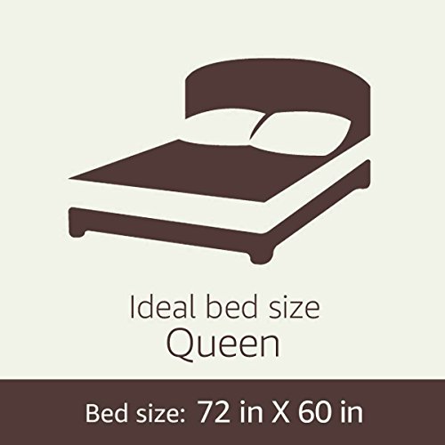 AmazonBasics 5-Piece Microfiber Bedding Set for Single Bed, (Includes 1 Comforter, 1 Flat Bedsheet, 2 Pillowcases, 1…