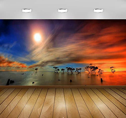 Avikalp Exclusive Awi1605 Sunset View Full HD 3D Wallpapers (121cm x 91cm)
