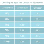 Bajaj Majesty RCX 1 0.4L Rice Cooker, White