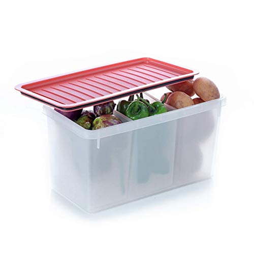 DDecora Set of 4 Adjustable Refrigerator plastic Storage Basket, Expandable Fridge Rack, Sliding Vegetable Organizer…