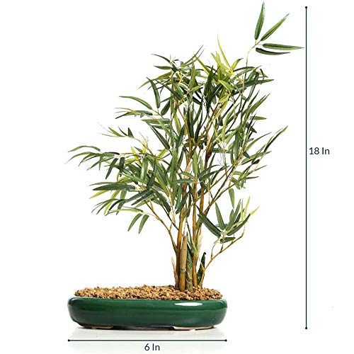 Fourwalls Artificial Bamboo Bonsai Plant in a Ceramic Pot for Home and Office Décor (47 cm Tall, Green)