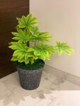 Fourwalls Beautiful Artificial Miniature PVC Silk Plant with Big Leaves and Without Pot (18 Leaves, 70 cm Tall…