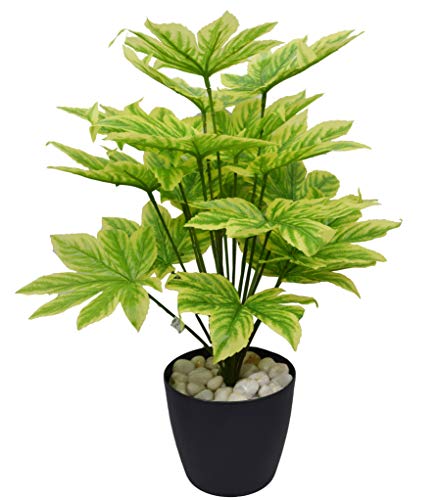 Fourwalls Beautiful Artificial Miniature PVC Silk Plant with Big Leaves and Without Pot (18 Leaves, 70 cm Tall…