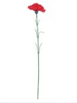 Fourwalls Artificial Synthetic Single Carnation Flower Stick (45 cm Tall, Set of 20, Light/Yellow) (Red)