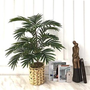 Fourwalls Artificial Areca Plants with 21 Leaves & Without Pot (75 cm Total Height, Green)