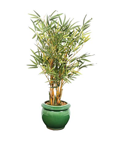 Fourwalls Artificial Bamboo Bonsai Plant in a Ceramic Pot for Home and Office Décor (199 Leafs, 38 cm Tall, Mixed…
