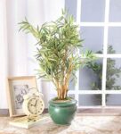 Fourwalls Artificial Bamboo Bonsai Plant in a Ceramic Pot for Home and Office Décor (199 Leafs, 38 cm Tall, Mixed…