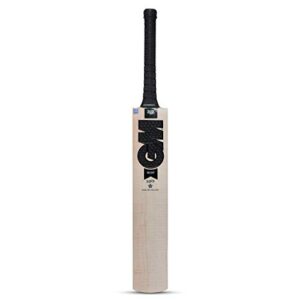 GM Noir 303 English Willow Cricket Bat for Men and Boys | Cross Weave Tape on The Face| Short Handle| Lightweight | Free…