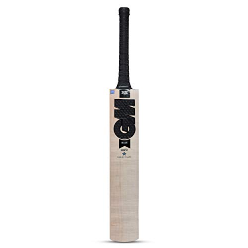 GM Noir 303 English Willow Cricket Bat for Men and Boys | Cross Weave Tape on The Face| Short Handle| Lightweight | Free…