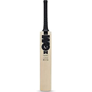 GM-Noir-Excalibur-English-Willow-Professional-Cricket-Bat-for-Men-and-Boys-Free-Cover-Ready-to-Play-Lightweight-Short-Handle-0