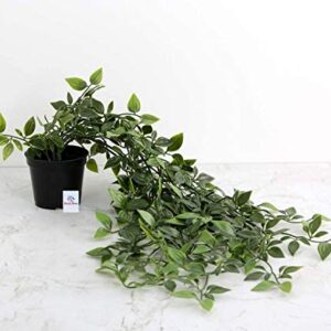 Heart-Home-Artificial-Vine-Plant-with-Plastic-Pot-Green-1-Piece-0-3