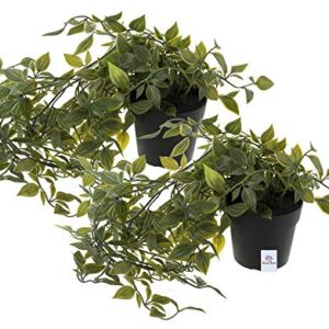 Heart-Home-Mini-Plastic-Potted-Vine-Artificial-Plant-HEARTXY11604-Set-of-2-Green-and-Black-0