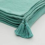 Home Centre Colour Connect Polyester Solid Tassel Trimmed Throw (Blue, 135 x 200 cm)