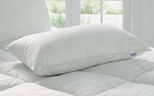 Kuber Industries Luxurious 2 Piece Microfiber Pillow Filler - 16"X24", White-Ctktc28622(Microfiber)