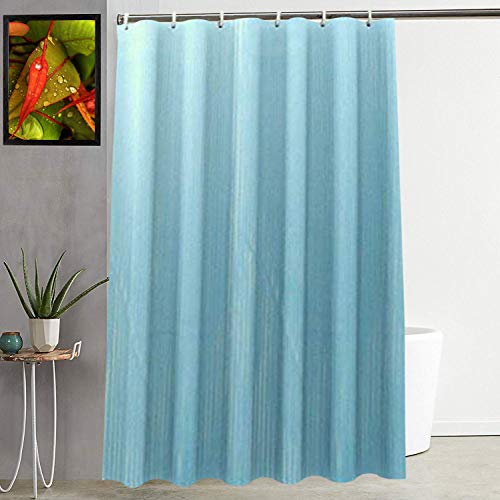 Kuber Industries Microfibre Shower Curtain with 8 Hooks, Standard, Sky Blue, Pack of 1