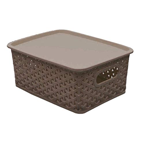 Kuber Industries Plastic Multipurpose Solitaire Storage Basket with Lid|Side Handles & Wovan Design|Size 25 x 20 x 11 CM…