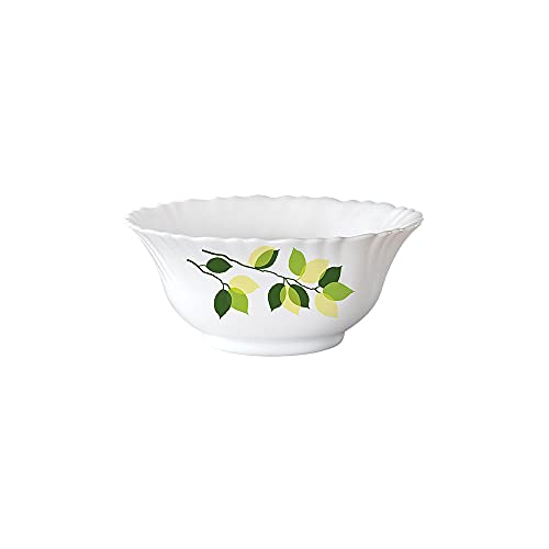 Larah by Borosil Green Leaves Silk Series Opalware 19 Pieces Dinner Set, Opal Glass Dinner Plates & Bowls, Crockery Set…