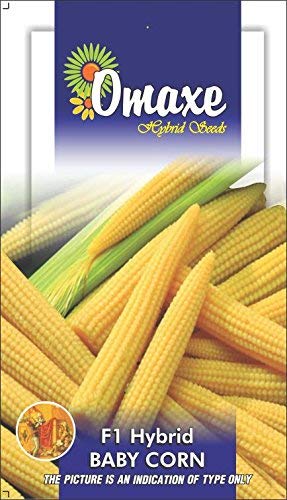 Omaxe Seeds Baby Corn F1 Hybrid Vegetable Seeds (Multicolor, Pack of 40)