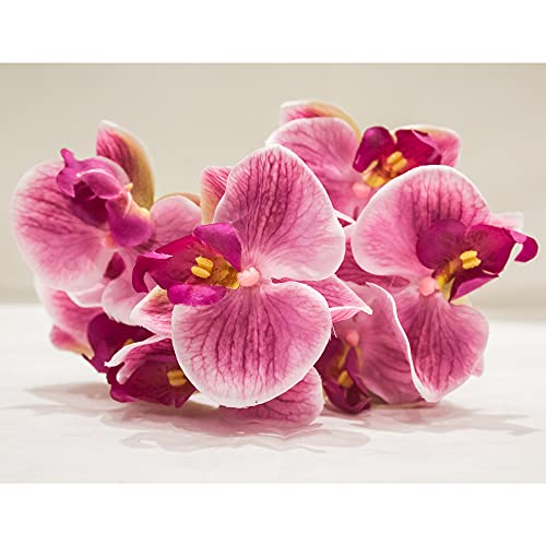 PolliNation Artificial Dark-Pink Orchid Flower Bunch (Pack of 1, 13 Inch)