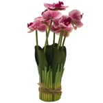 PolliNation Artificial Dark-Pink Orchid Flower Bunch (Pack of 1, 13 Inch)