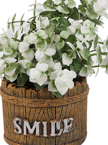 PolliNation Artificial White Jade Bonsai with Brown Resin Pot for Gifting (Pack of 1, 7 inch)
