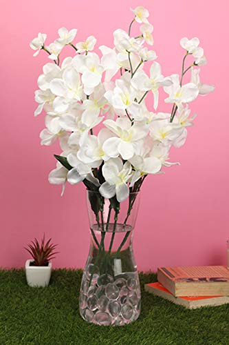 PolliNation Stunning Orchid Artificial Flowers for Home Decoration(White, Pack of 5)