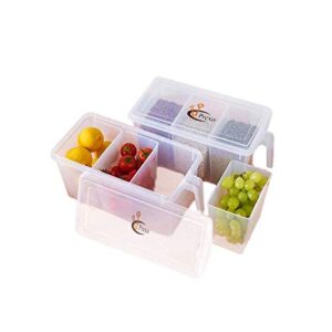Prexo! A1091 Plastic Container with Lid, Handle and 3 Bins, Pack of 2, White