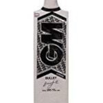 GM 1601174 Chrome Bullet English Willow