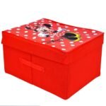 Foldable Storage Organizer Box with with Lid XL